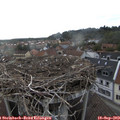 18_05-nest.jpg