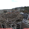 18_10-nest.jpg