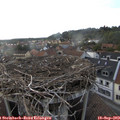 18_15-nest.jpg