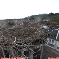 18_20-nest.jpg
