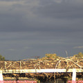 18_30-mast.jpg