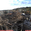 18_35-nest.jpg