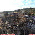 18_40-nest.jpg