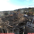 18_45-nest.jpg