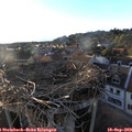 18_55-nest.jpg