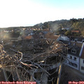 19_00-nest.jpg