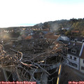 19_05-nest.jpg