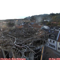 19_10-nest.jpg