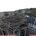 19_15-nest.jpg