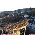 07_15-nest.jpg