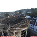 07_25-nest.jpg