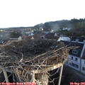07_30-nest.jpg