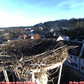 07_45-nest.jpg