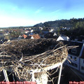 07_55-nest.jpg