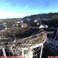 08_00-nest.jpg