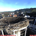 08_05-nest.jpg