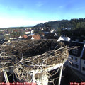 08_10-nest.jpg
