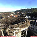 08_20-nest.jpg