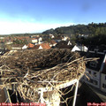 08_30-nest.jpg