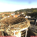 08_35-nest.jpg