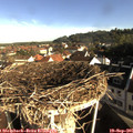 08_40-nest.jpg