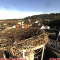 08_45-nest.jpg