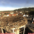 09_15-nest.jpg