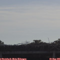09_25-mast.jpg