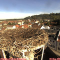 09_25-nest.jpg