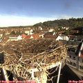 09_35-nest.jpg