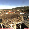 09_40-nest.jpg