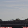 09_55-mast.jpg
