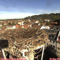 09_55-nest.jpg