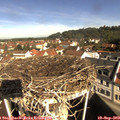 10_05-nest.jpg