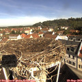 10_10-nest.jpg