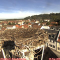 10_20-nest.jpg