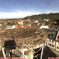 10_25-nest.jpg