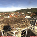 10_30-nest.jpg