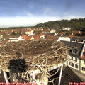 10_35-nest.jpg