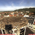10_45-nest.jpg
