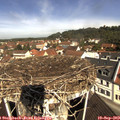 10_55-nest.jpg