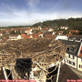 11_00-nest.jpg