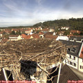 11_15-nest.jpg