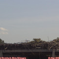 11_25-mast.jpg