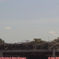 11_30-mast.jpg