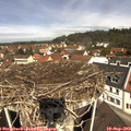 11_30-nest.jpg