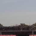 11_35-mast.jpg