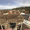 11_40-nest.jpg