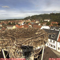 11_45-nest.jpg