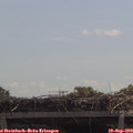 11_55-mast.jpg